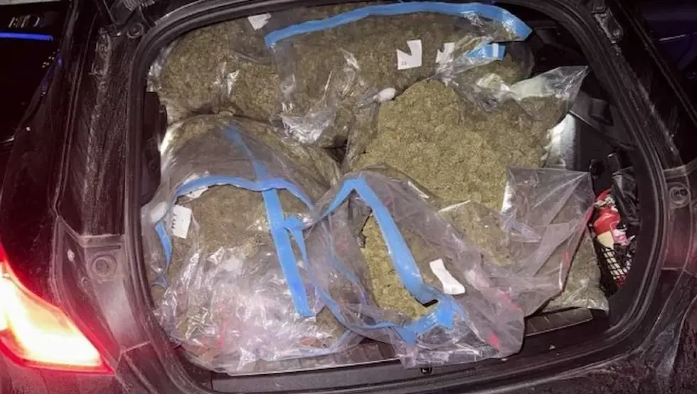 Детаљи акције у Градишци: Заплијењено око 50 килограма сканка, више ухапшених