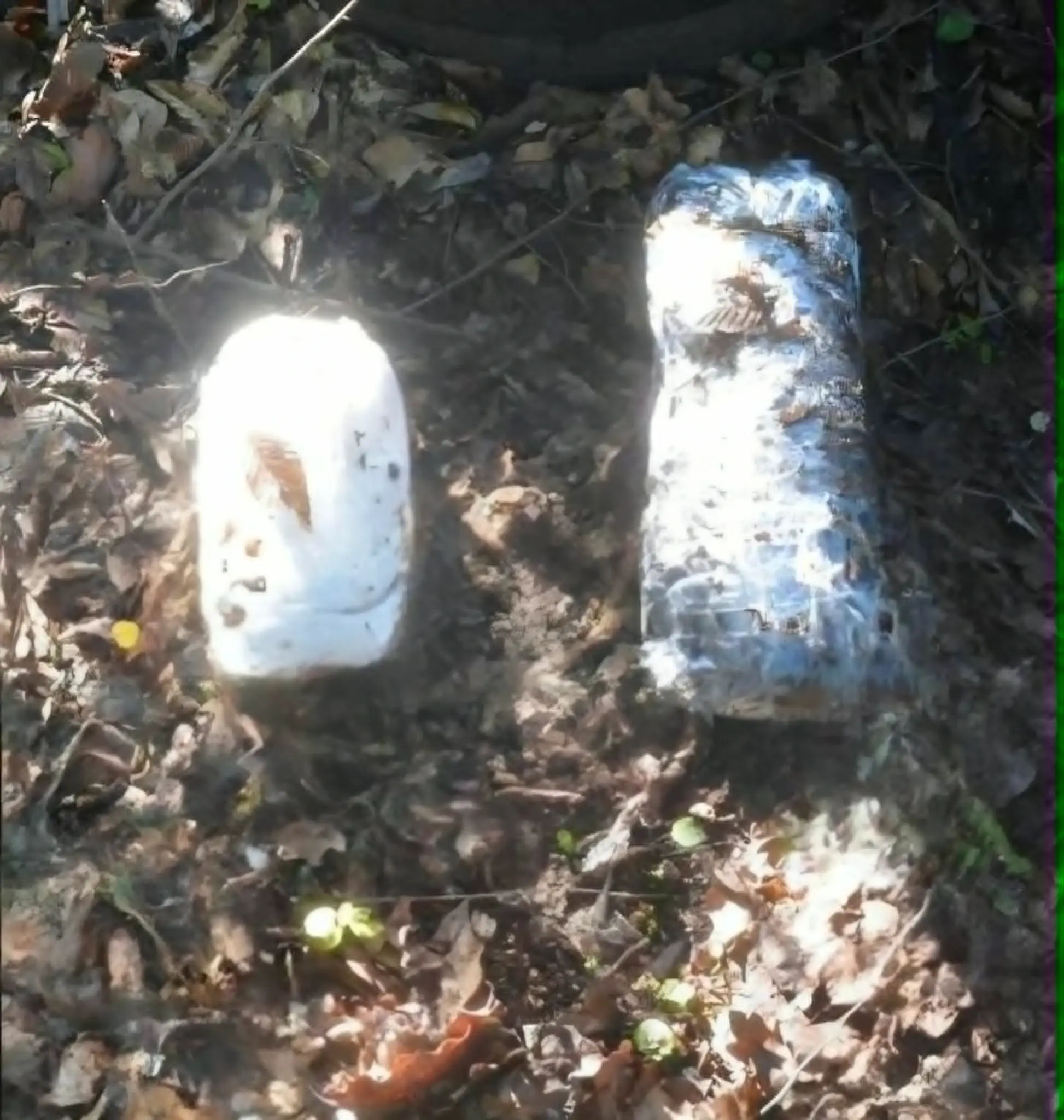 Акција Hidden/Уступљена фотографија