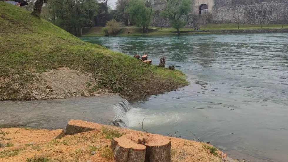 Врбас посјечене врбе