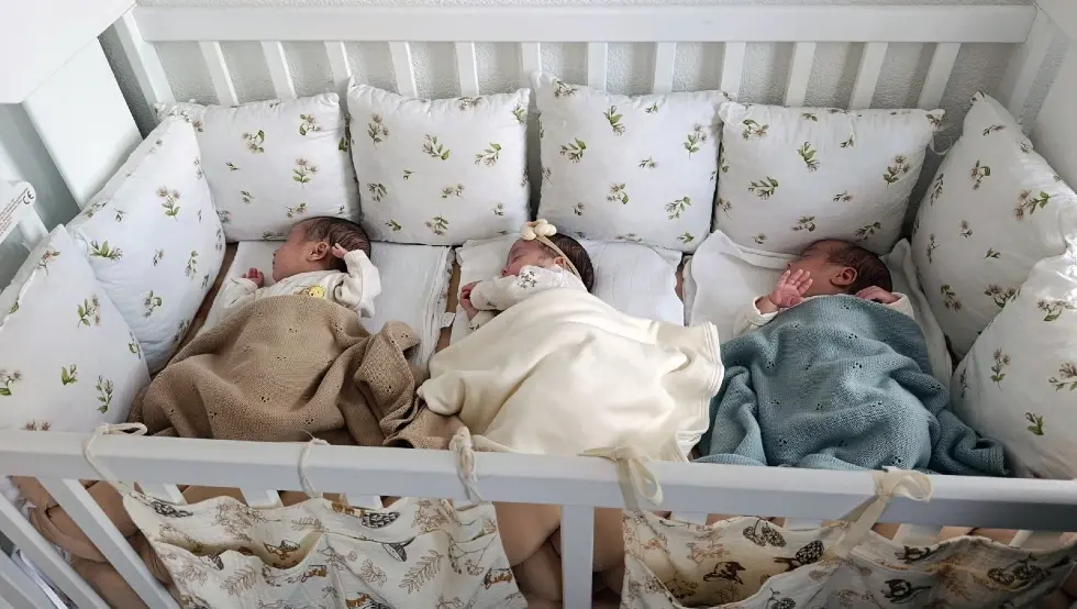 Шипово тројке