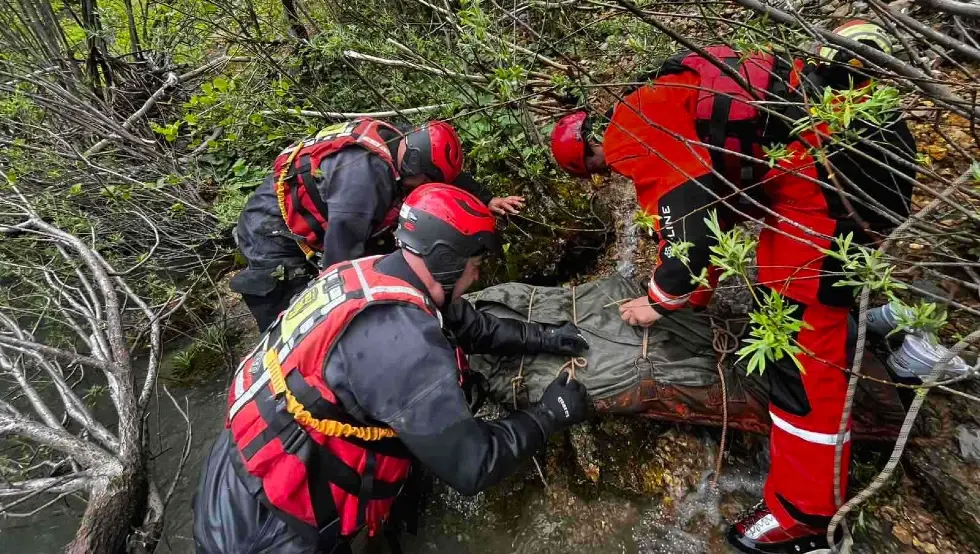 Тијело кајакашице
