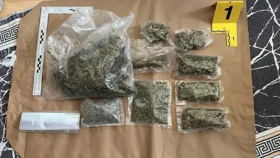 Акција "Мицелиј" у Сарајеву: Ухапшен младић (24), у стану крио дрогу и импровизовану лабораторију за психоделичне гљиве