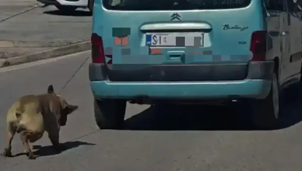 (УЗНЕМИРУЈУЋИ ВИДЕО)  Везао пса за ауто и вукао га кроз град