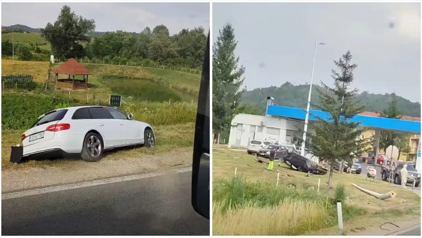 Сребреник удес