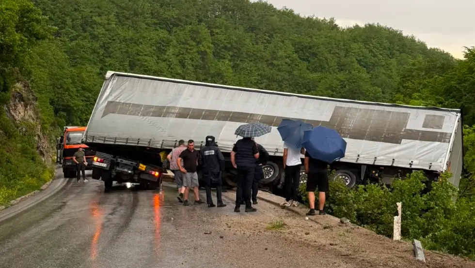 несрећа рогатица