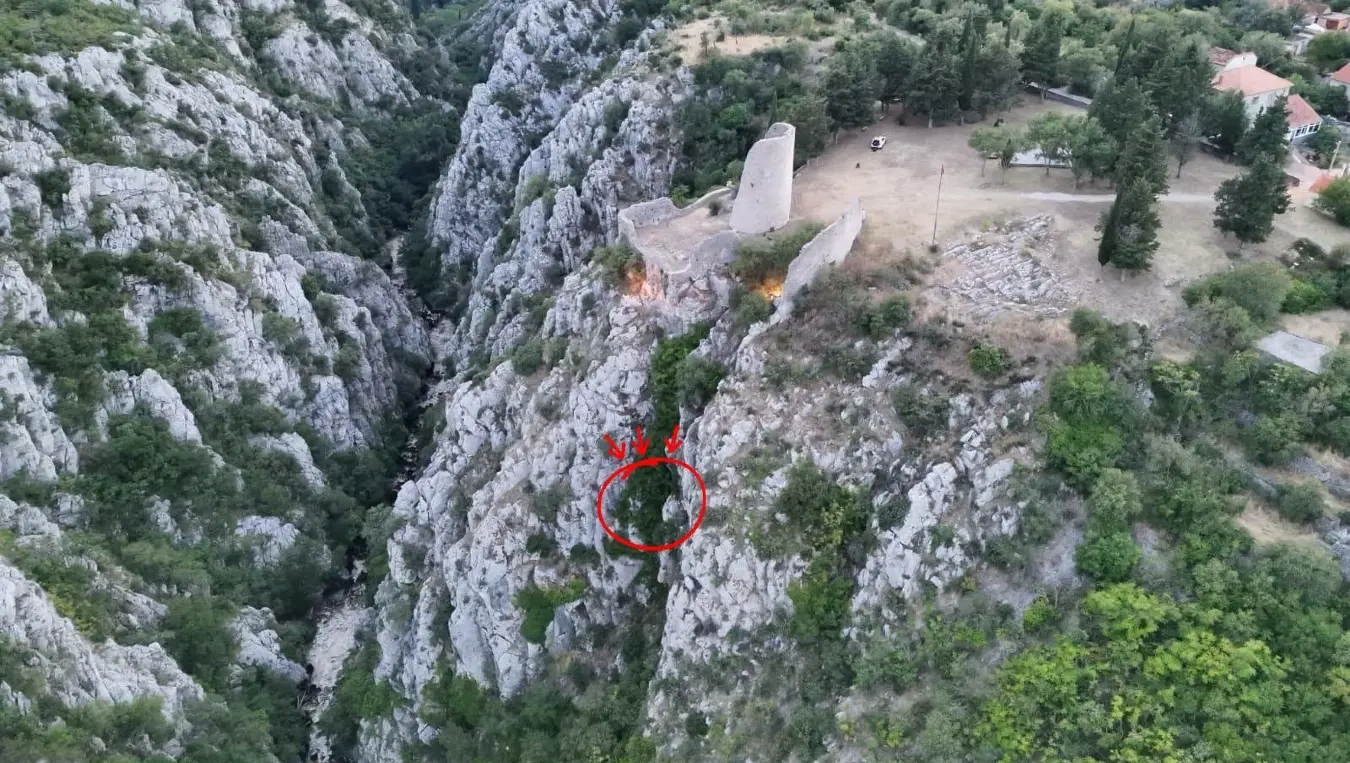 акција спасавање