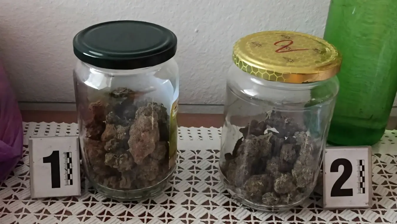 акција пумба