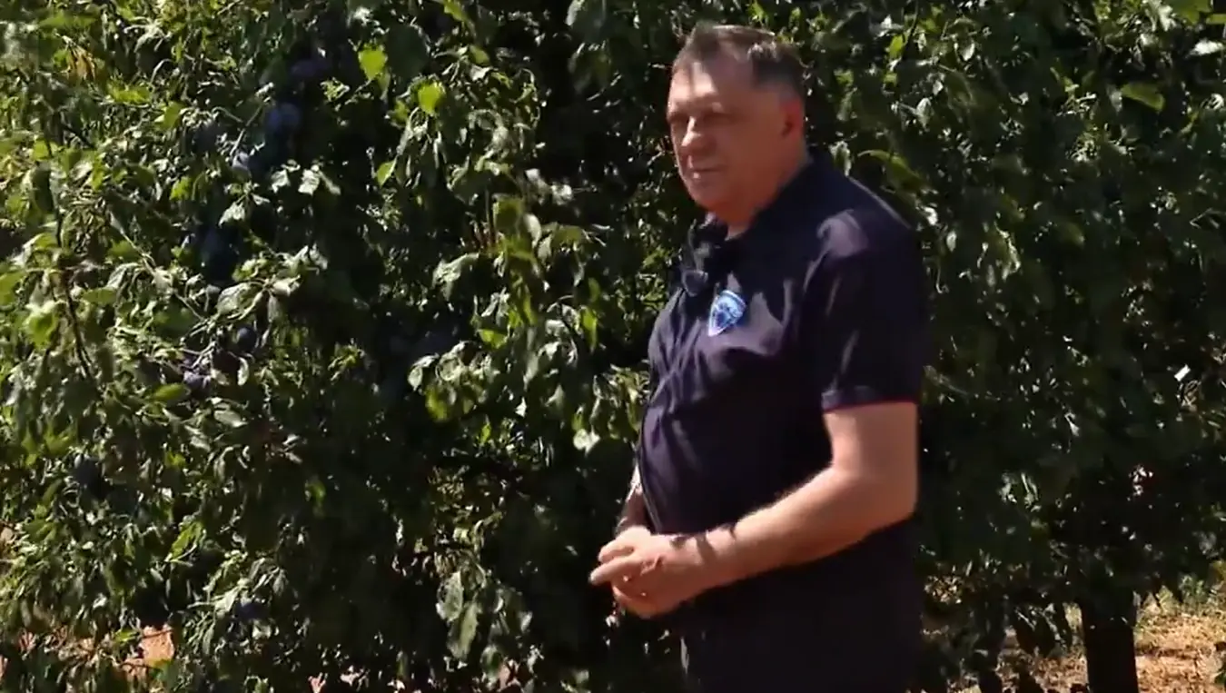 Додик објавио видео из воћњака: "Шљива је симбол српства и наше традиције
