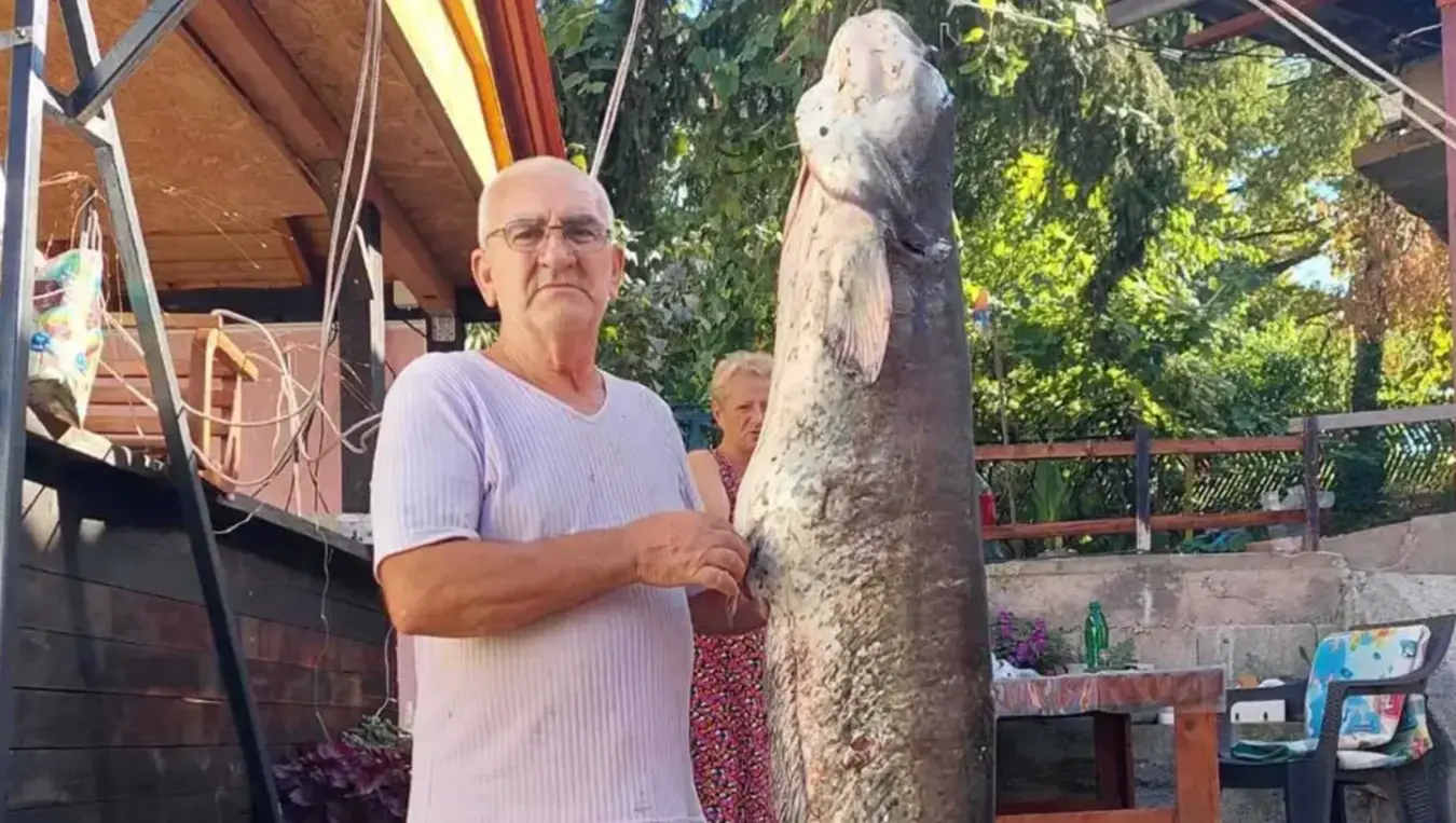 На Модрачком језеру уловио сома тешког 53 килограма