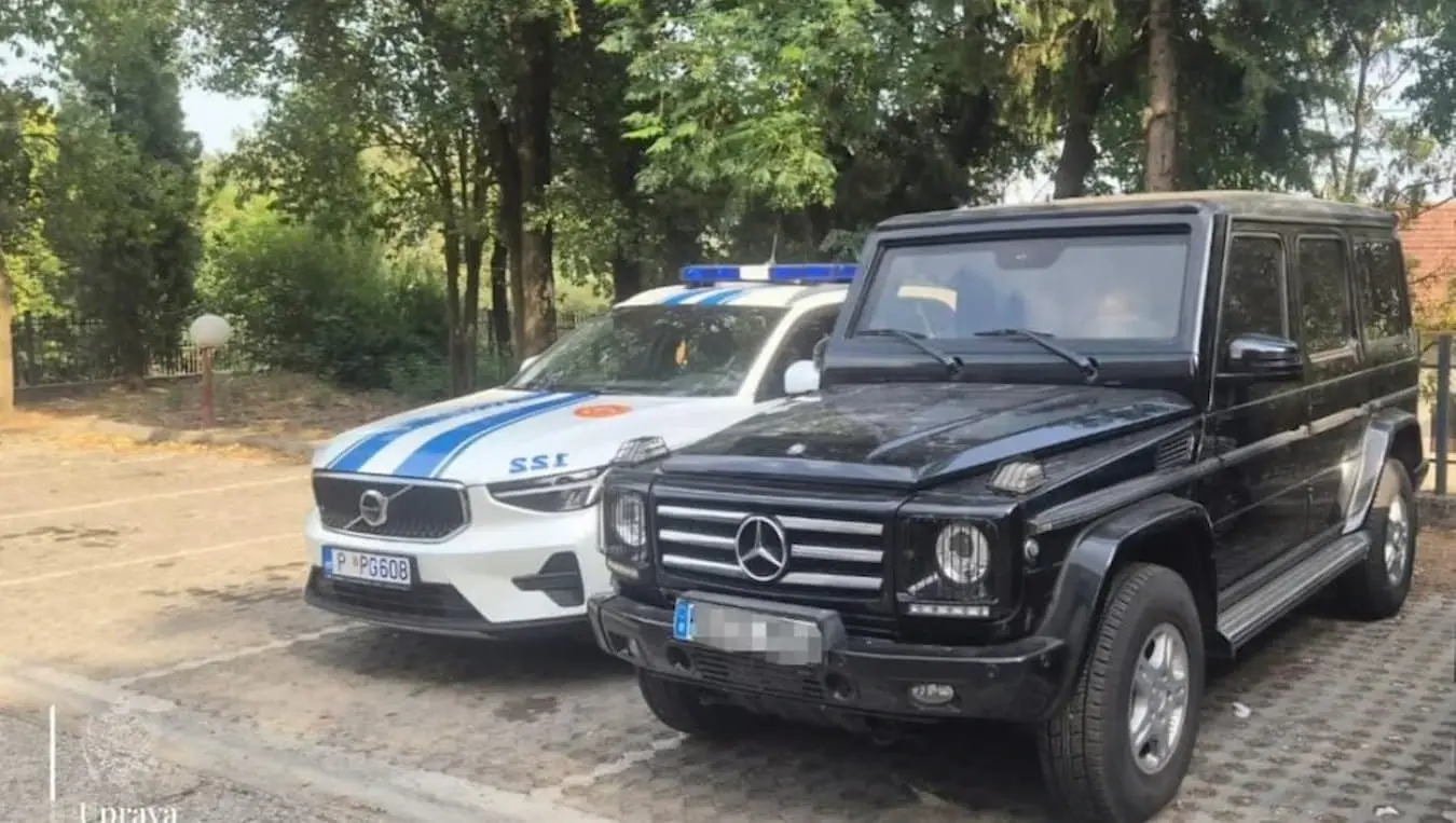 Мерцедес Радоје Звицер