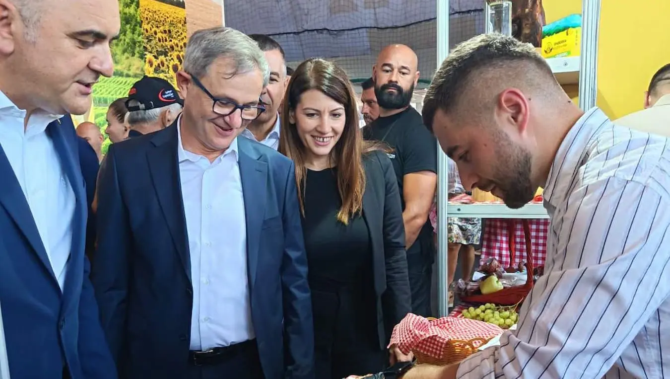 Минић Сајам