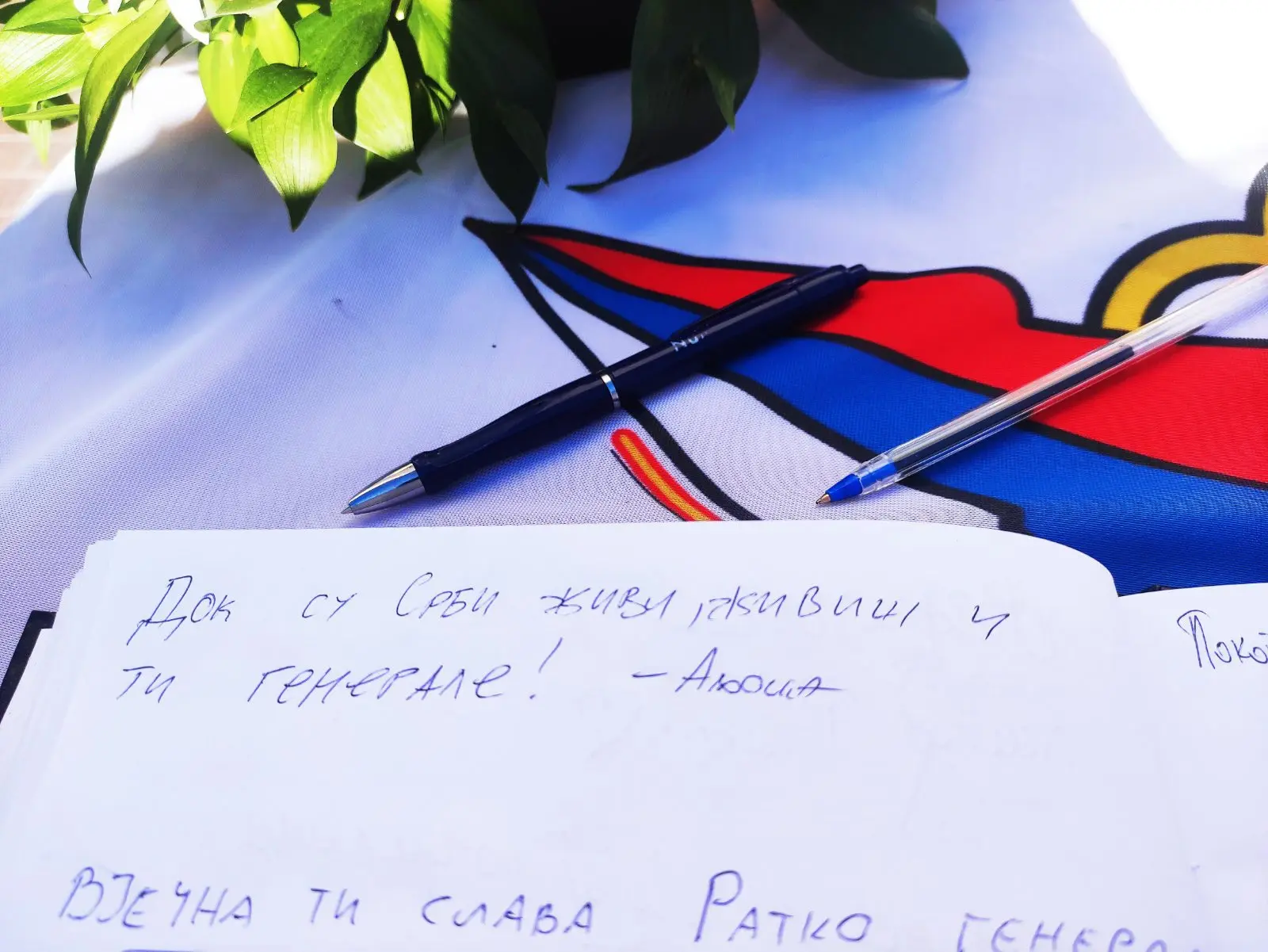 Књига жалости
